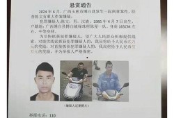 全南爆料嫌疑人最新消息,嫌疑人最新动向及案件进展揭秘